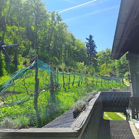 Das Altsteirische Landhaus - La Maison De Pronegg - Feriendomizil Im Biosphaerenpark Wienerwald Pressbaum ภายนอก รูปภาพ