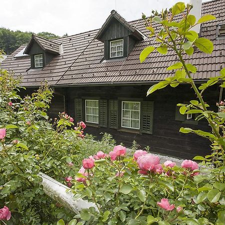 Das Altsteirische Landhaus - La Maison De Pronegg - Feriendomizil Im Biosphaerenpark Wienerwald Pressbaum ห้อง รูปภาพ