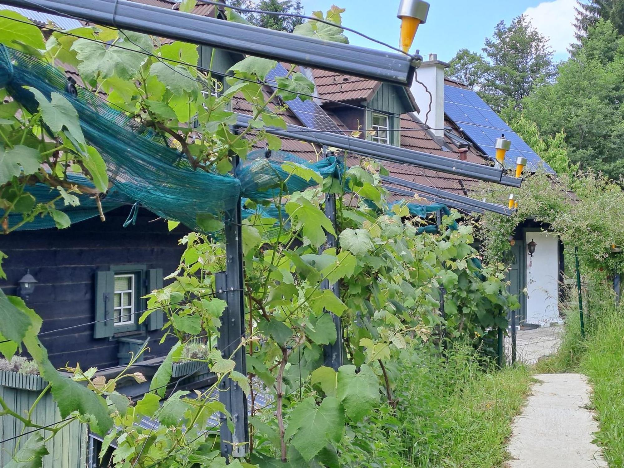 Das Altsteirische Landhaus - La Maison De Pronegg - Feriendomizil Im Biosphaerenpark Wienerwald Pressbaum ภายนอก รูปภาพ