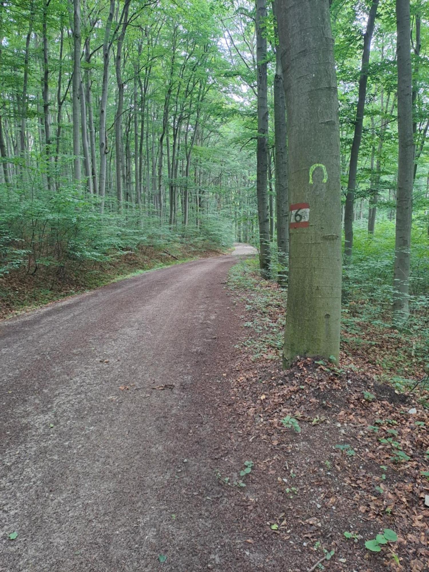 Das Altsteirische Landhaus - La Maison De Pronegg - Feriendomizil Im Biosphaerenpark Wienerwald Pressbaum ภายนอก รูปภาพ