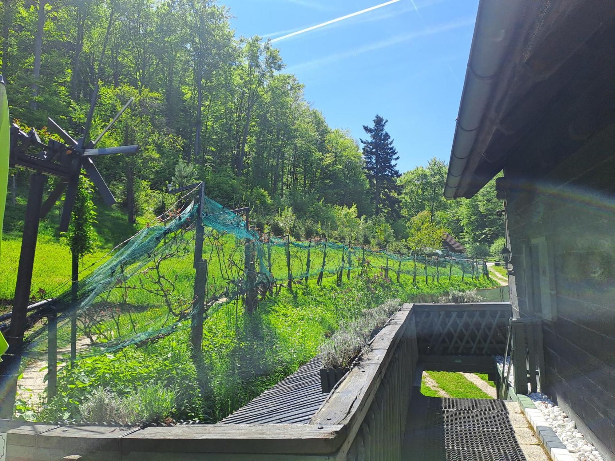 Das Altsteirische Landhaus - La Maison De Pronegg - Feriendomizil Im Biosphaerenpark Wienerwald Pressbaum ภายนอก รูปภาพ