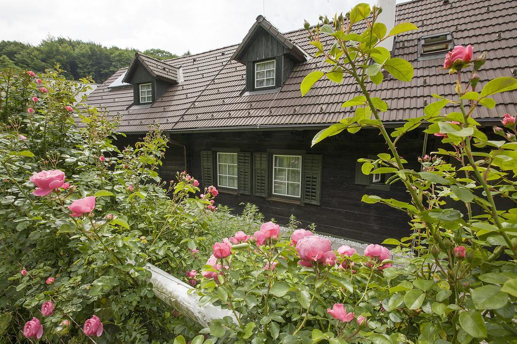 Das Altsteirische Landhaus - La Maison De Pronegg - Feriendomizil Im Biosphaerenpark Wienerwald Pressbaum ห้อง รูปภาพ